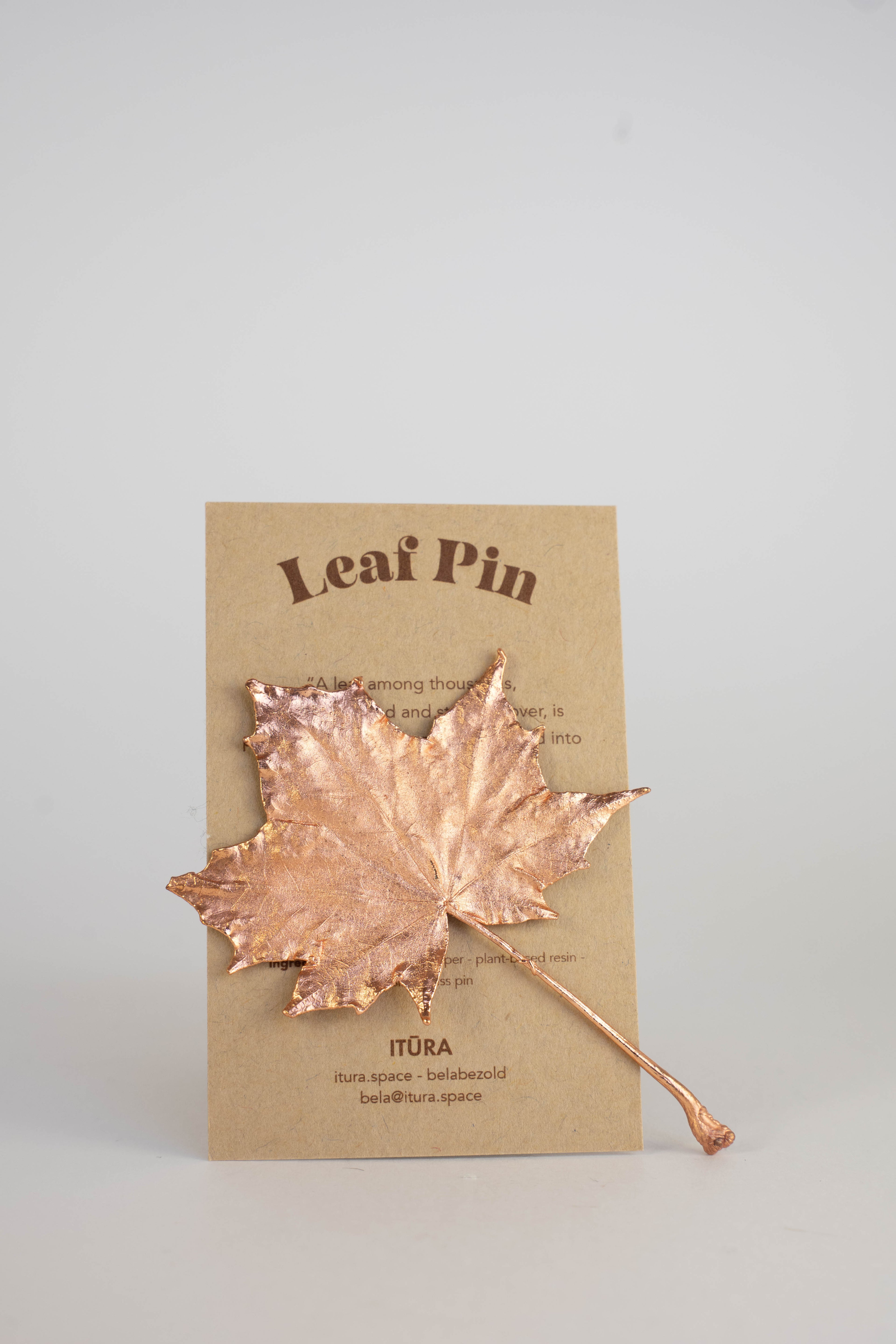 Leaf Pins - Copper Plated leaves that you can wear